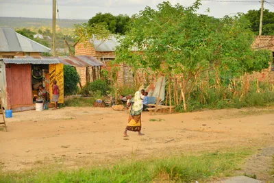 DSC_4341 (Large).JPG